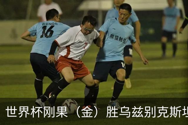 世界杯刚果（金）胜乌兹别克斯坦 韩国无缘32强